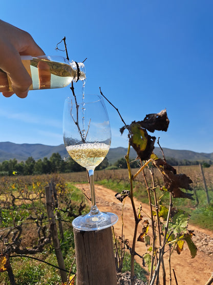 "Al Fresco" Colombard & Chenin Blanc - 2023